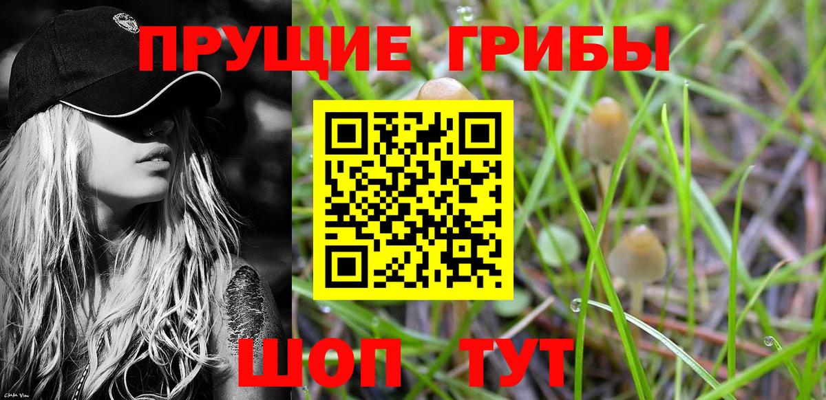 Галлюциногенные грибы GOLDEN TEACHER Валуйки