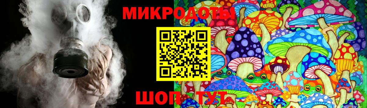 Псилоцибиновые грибы прущие грибы  Псилоцибиновые грибы Psilocybe  Вход с VPN  Валуйки 
